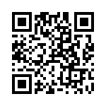 RT9073-12GB QRCode