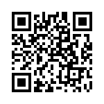 RT9073A-09GQZ QRCode