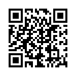 RT9101GQW QRCode