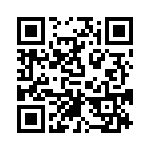 RT9163-33GGT QRCode