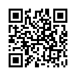 RT9187GQV QRCode