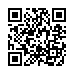 RT9193-28GB QRCode