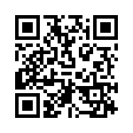 RT9511GQW QRCode