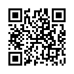 RT9521GQW QRCode