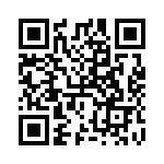 RT9532GQW QRCode