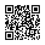 RT9807-30GB QRCode