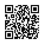 RTE44024 QRCode