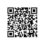 RV0805FR-073M9L QRCode