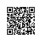 RWR81N1R30FRS73 QRCode