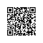 RWR81N39R2FRB12 QRCode