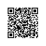 S912XET256J2CAA QRCode