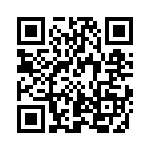 SBRF10100CT QRCode