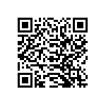 SIT1602BI-33-33S-38-400000X QRCode