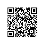 SIT1602BI-82-XXS-33-300000Y QRCode