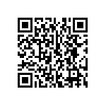 SMBG5339CE3-TR13 QRCode