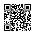 SS-111-T-2 QRCode