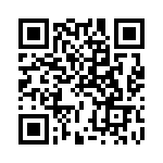 STT13005D-K QRCode