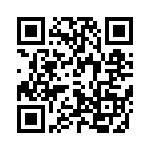 T1013NSE7KQA QRCode