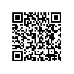 T11-2-1-00A-01-31AL-V QRCode