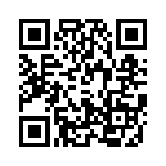 T30604530000G QRCode