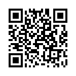 T30604540000G QRCode