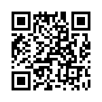 T37078-07-0 QRCode