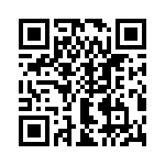 T37121-04-0 QRCode