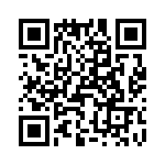 T37132-09-0 QRCode