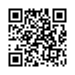 T38000-04-0 QRCode