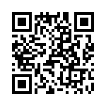 T38002-13-0 QRCode