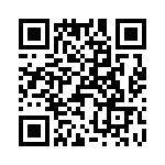 T38007-04-0 QRCode