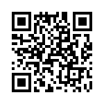 T38010-09-0 QRCode