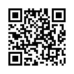 T38012-10-0 QRCode