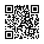 T38012-17-0 QRCode