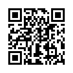 T38013-04-0 QRCode