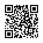 T38017-21-0 QRCode