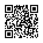 T38028-01-0 QRCode