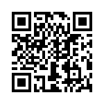 T38038-07-0 QRCode