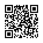 T38038-08-0 QRCode