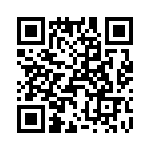 T38038-23-0 QRCode