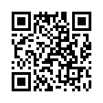 T38040-02-0 QRCode