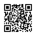 T38041-23-0 QRCode