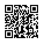 T38043-13-0 QRCode