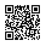 T38043-25-0 QRCode