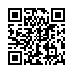 T38045-04-0 QRCode