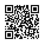 T38051-09-0 QRCode