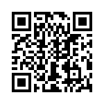 T38055-03-0 QRCode