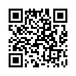 T38055-25-0 QRCode