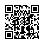 T38058-05-0 QRCode