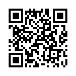 T38058-07-0 QRCode